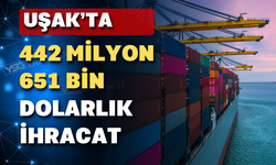 Türkiye ihracat sıralamasında Uşak kaçıncı sırada?