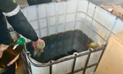 İzmir’de tağşişli zeytinyağına geçit yok