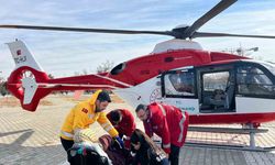 Hamile kadın ambulans helikopter ile Van’a getirildi