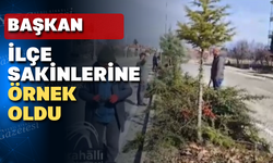 Karahallı'nın ağaçları tıraş oldu