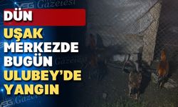 Uşak’ın Ulubey ilçesinde yangında 100 can gitti