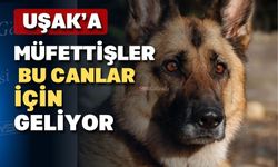 Uşak valilik ve belediyelerine müfettiş incelemesi