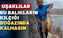 Uşak’ın iç sularında balık avı yasağı