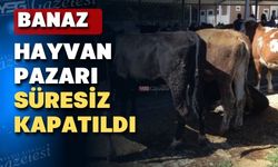 Uşak’ın Banaz ilçesinde şap alarmı