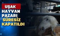 Uşak’ta canlı hayvan pazarına şok kapatma