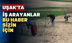 OGM Uşak’ta çalıştırmak üzere 52 kişi alacak