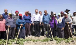 Bu hamle çiftçinin yüzünü güldürdü