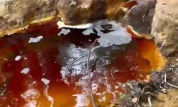 Yeni çevre felaketi! Dere kırmızıya boyandı!
