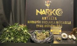 Bir haftada 17 zehir taciri tutuklandı