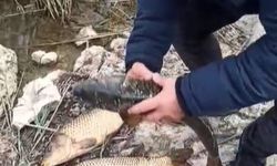 Kaçak avcılara 176 bin TL ceza uygulandı, ekipmanlara el konuldu