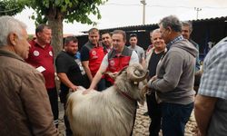 Kurban pazarlarında sağlık ve hijyen kontrolü