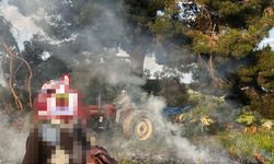 Ormanda ateş yakan 2 kişiye para cezası kesildi