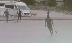 Sahipsiz  köpekler çocuğa saldırdı