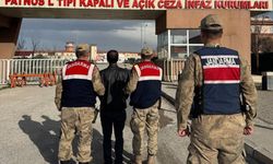 Terör örgütü üyesi yakalandı