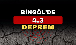 Bingöl’de 4.3 büyüklüğünde deprem