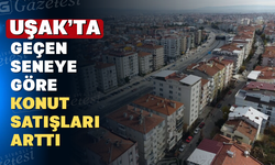 Uşak'ta Konut Satışları Yükseldi