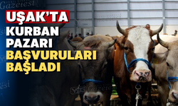 Kurban Pazarı Yerleri Belli Oldu