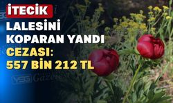 Uşak’ın bu nadir çiçeğine dokunanın eli yanar