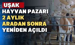 Uşak Hayvan Pazarı bugün açılıyor