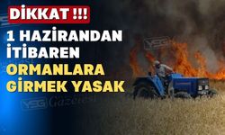 Uşak orman yangınlarına karşı bu yıl çok daha tedbirli