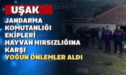 Uşaklı hayvan yetiştiricileri hırsızlara karşı dikkatli olun