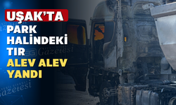 Park halindeki tır alev aldı