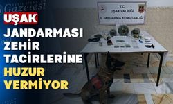 Uşak Jandarması 16 zehir tacirini suçüstü yakaladı