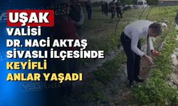 Uşak Valisi Dr. Naci Aktaş Sivaslı’da çilek topladı