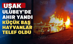 Uşak’ta kısa sürede büyüyen yangın korku saldı