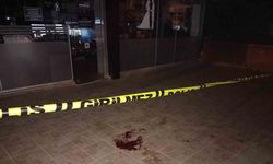 Binanın 3. katının camından aşağı atlayan genç kadın yaralandı