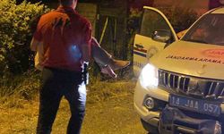 Engelli kız çocuğu ormanda kayboldu