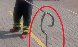 Fabrikadaki yılanı itfaiye ekipleri yakaladı