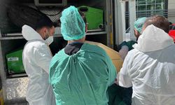 Kene 72 yaşındaki kadını hayattan kopardı