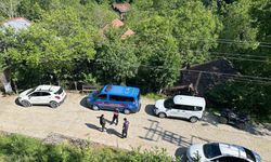 Köpek ölümleriyle ilgili inceleme başlatıldı