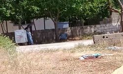 Maddenin etkisiyle cadde ortasına yığılıp kaldılar