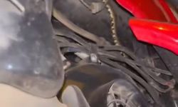 Motosikletin içindeki yılanı tek hamlede çıkardı