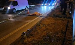 Otomobilin çarptığı kadın hayatını kaybetti