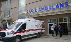 Sıcaklıkların yükselmesiyle gıda zehirlenmeleri artıyor