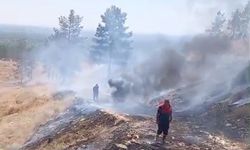 Sigara izmariti yangına neden oldu