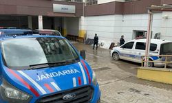 Torununu Kurtarmak İsterken Canından Oldu