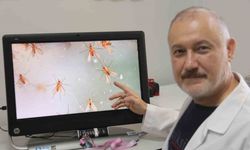 Uzmanlardan ’Yakarca’ uyarısı