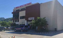 Yaprak toplarken düşen kadın hayatını kaybetti