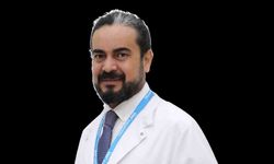 Yaz aylarında böcek ve kene ısırıklarına dikkat