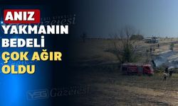 Uşak’ta 250 dönüm ekili alan yandı