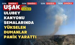 Uşak Ulubey Kanyonlarında alevler yükseldi