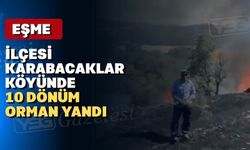 Uşak’ın Eşme ilçesinde biçerdöver ormanı yaktı