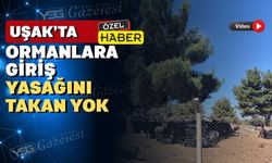 Ormanlara giriş yasak ama uyulmuyor