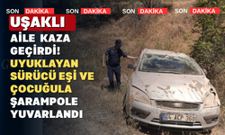 Uşaklı Aile Denizli Yolunda Şarampole Uçtu
