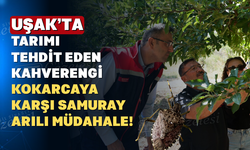 Uşak'ta 1.500 Samuray Arısı Doğaya Salındı: Biyolojik Mücadele Başladı