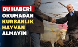 Uşaklılar kurbanlık hayvan alırken nelere dikkat etmeli?